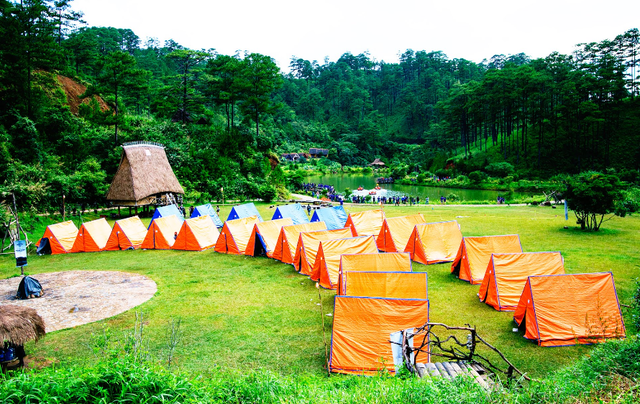 Dịch vụ cắm trại giữa rừng hoang