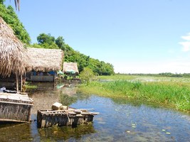 Trằm Trà Lộc