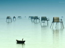 Bãi biển Đồng Châu