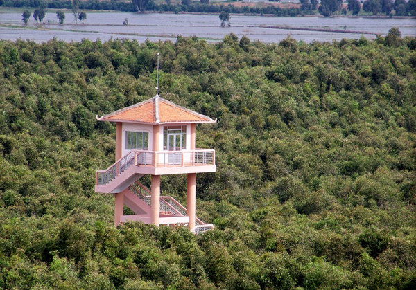 Tháp canh ở làng nổi Tân Lập