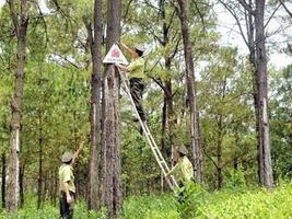 Di tích Ban An Ninh Cục miền Nam - Rừng Chàng Riệc