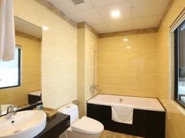 Au Viet Hotel