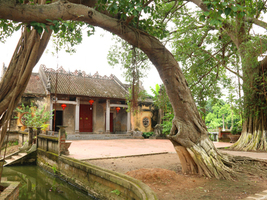 Đình Đại Đồng