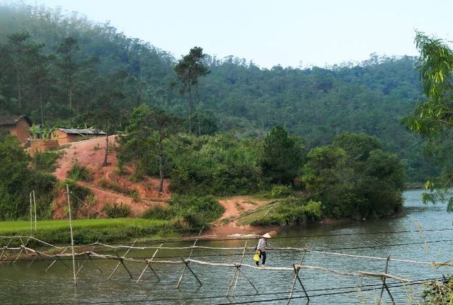 Cầu khỉ dài nhất Việt Nam