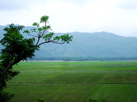 Núi Nước (Thủy Đài Sơn)