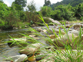 Suối A Lin