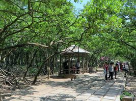 Tour Cần Giờ 1 ngày