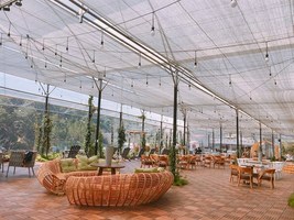 Cafe F Cánh đồng hoa