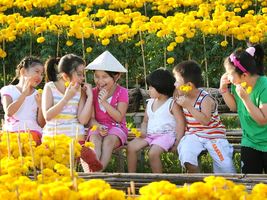 Tour Đồng Tháp 1 ngày: làng...