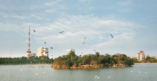 Đảo Cò - Hồ An Vũ