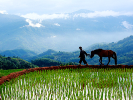 3 ngày đi Fansipan từ Thanh Hóa