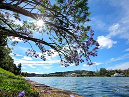 4 Days to Đà Lạt from Hà Nội