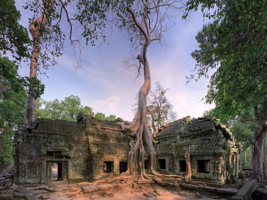 Ta Prohm Temple