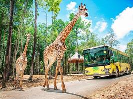 3 ngày đi Phú Quốc từ Hà Nội