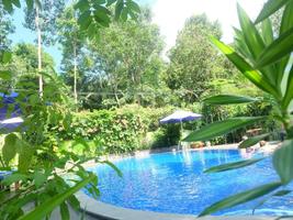 Mai Binh Phuong Bungalow