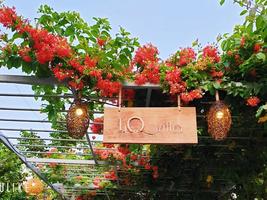 LQ villa -Long Hải