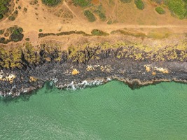 5 ngày đi Phú Yên từ Hồ Chí Minh