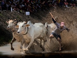 2 ngày đi An Giang từ Hồ Chí Minh