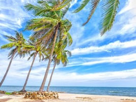 2 ngày đi Phan Thiết - Mũi Né từ Long An