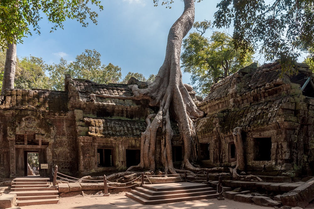 Du lịch Siem Reap tự túc_Ta Prohm_triphunter_